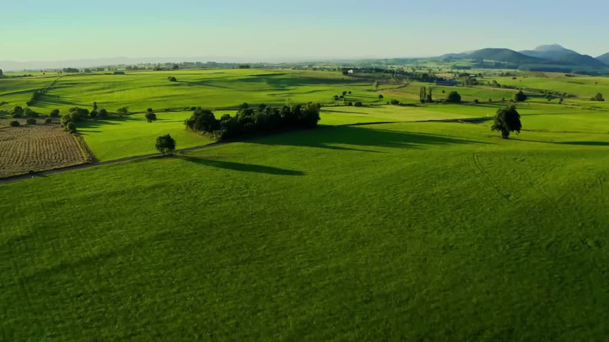 DJI Agras T100 recommended for Agriculture
